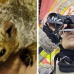 #themoment-firefighters-rescued-a-pet-squirrel-from-a-tree