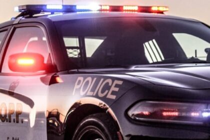 pedestrian-killed-in-highway-401-collision