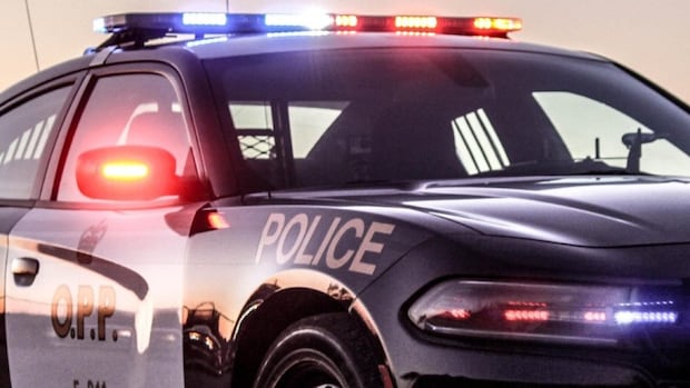 pedestrian-killed-in-highway-401-collision