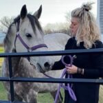 pets-and-fireworks-don’t-mix,-say-nb.-animal-owners-as-canada-day-displays-near