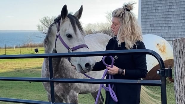 pets-and-fireworks-don’t-mix,-say-nb.-animal-owners-as-canada-day-displays-near