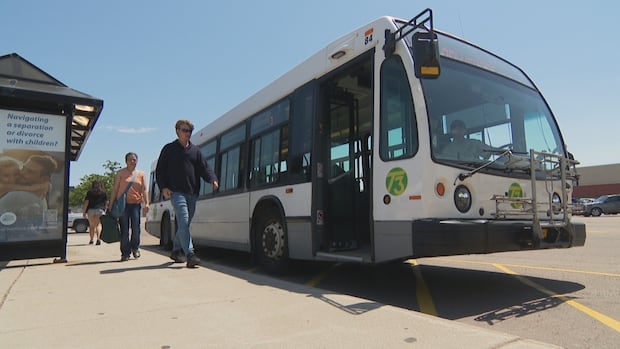 ‘truly-a-necessity’:-charlottetown-commits-to-adding-more-bus-shelters-over-5-years