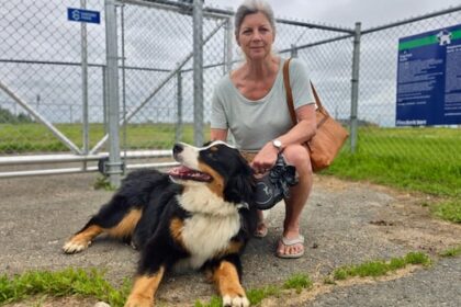 as-the-cost-of-pet-meds-soar,-nb.-won’t-allow-pharmacies-to-sell-cheaper-options-to-owners