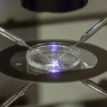 applications-for-bc.’s-publicly-funded-ivf-program-open-wednesday
