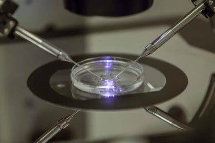 applications-for-bc.’s-publicly-funded-ivf-program-now-open