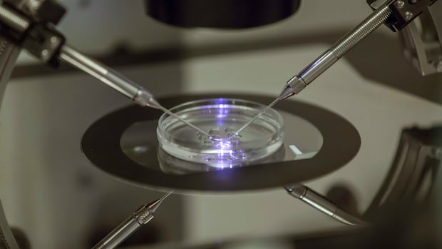applications-for-bc.’s-publicly-funded-ivf-program-now-open