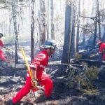 halifax-spent-more-than-$160,000-on-the-wrong-kind-of-wildfire-protective-gear-for-firefighters