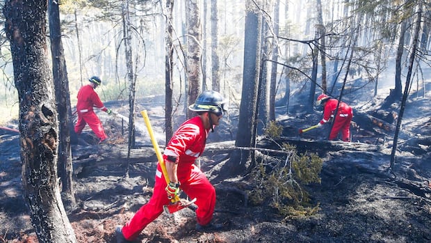 halifax-spent-more-than-$160,000-on-the-wrong-kind-of-wildfire-protective-gear-for-firefighters
