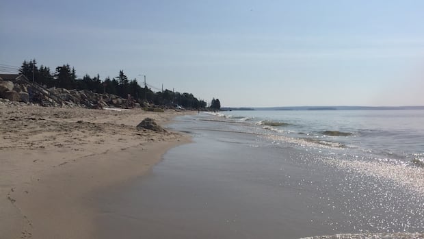 fin-spotted-close-to-nova-scotia-beach-forces-swimmers-out-of-water
