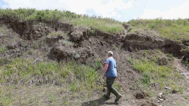 ancient-saskatchewan-archaeological-site-falls-victim-to-illegal-scavenging