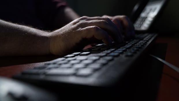 sentencing-in-‘extraordinary’-revenge-porn,-sex-assault-case-proceeds-as-convict-absconds-from-justice