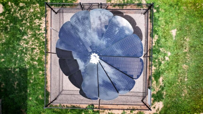 smartflower-offers-pei.-students-real-life-lessons-in-solar-power,-right-outside-their-classrooms