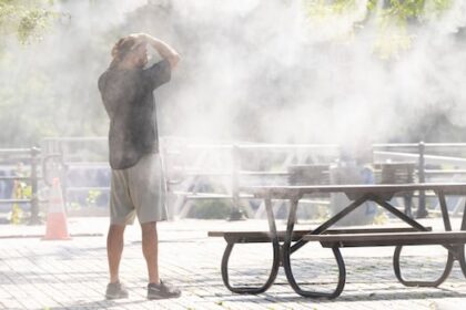 should-quebec-require-landlords-to-keep-apartments-cool-during-summer?