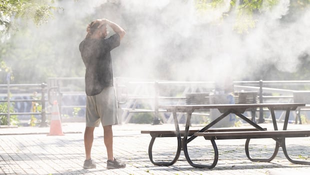 should-quebec-require-landlords-to-keep-apartments-cool-during-summer?