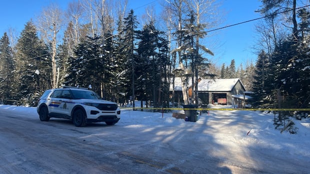 homeowner-faces-gun,-drug-charges-after-fatal-moncton-area-home-invasion