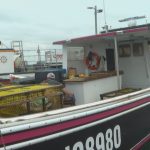 cape-breton’s-lobster-catch-inconsistent
