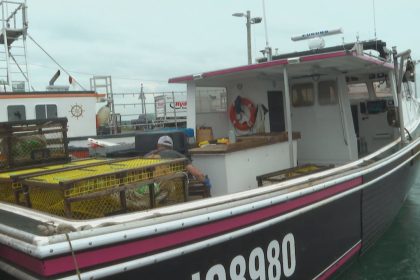 cape-breton’s-lobster-catch-inconsistent