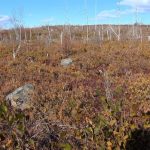 halifax-council-rejects-plan-for-porters-lake-construction-waste-facility