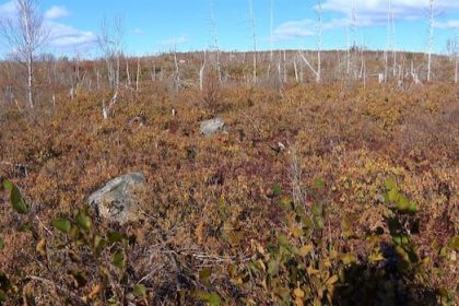 halifax-council-rejects-plan-for-porters-lake-construction-waste-facility