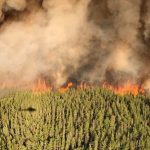 ‘it-weighs-on-you’:-ontario-wildland-firefighters-being-overworked-due-to-lack-of-resources,-union-says