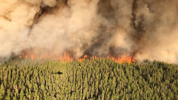 ‘it-weighs-on-you’:-ontario-wildland-firefighters-being-overworked-due-to-lack-of-resources,-union-says