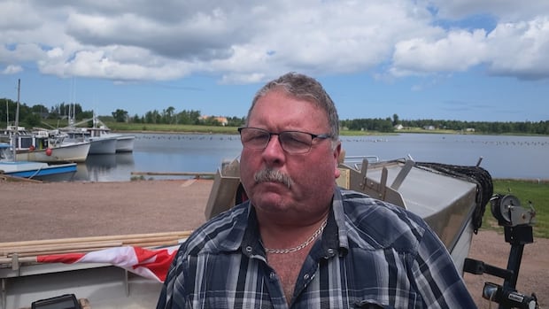 ‘it’s-a-pretty-scary-time’:-oyster-industry-on-edge-after-dermo-found-in-egmont-bay