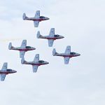can-rising-patriotism-save-the-snowbirds?