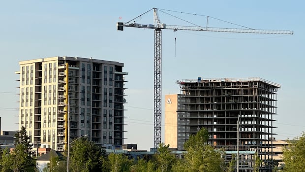 nb.-cities-getting-denser-as-they-respond-to-population-growth