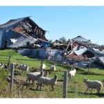 not-too-late-to-stem-the-tide-on-global-warming-devastation,-halifax-mp-says