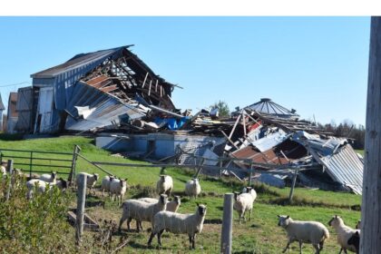 not-too-late-to-stem-the-tide-on-global-warming-devastation,-halifax-mp-says