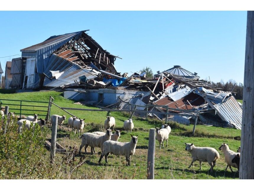 not-too-late-to-stem-the-tide-on-global-warming-devastation,-halifax-mp-says