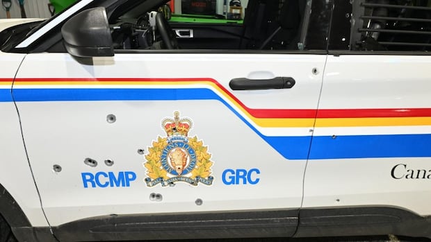 dozens-more-charges-laid-against-man-accused-of-shooting-at-police-during-standoff