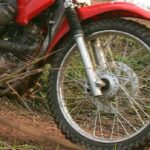 boy,-15,-dies-after-dirt-bike-collides-with-deer-in-western-manitoba