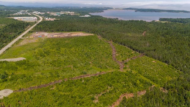 industrial-park-expansion-in-saint-john-clears-final-reading-at-council
