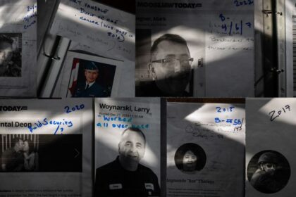 is-contamination-on-a-canadian-armed-forces-base-making-employees-sick?