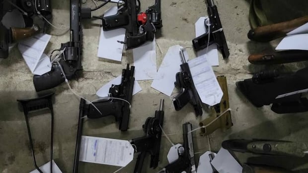 rcmp-charges-military-members-with-trying-to-create-‘anti-government-militia’-and-seize-land