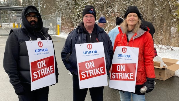 workers-vote-down-offer-in-5-month-long-transit-strike-in-bc.’s-cowichan-valley