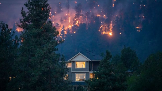 human-caused-wildfires-are-down-over-the-past-several-decades:-bc.-wildfire-service