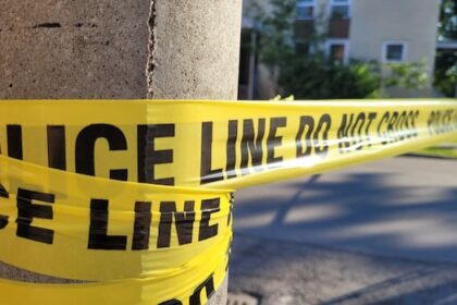 woman-critically-injured-by-falling-tree-in-almonte
