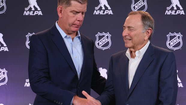 nhl,-nhlpa-ratify-new-collective-bargaining-agreement-through-2029-30-campaign