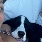 bc.-dog-owner-warns-of-algae-bloom-danger-after-pet-dies-following-swim-in-nicola-lake