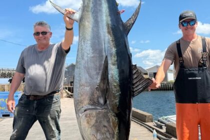 pei.-bluefin-tuna-in-high-demand-as-season-opens-early,-says-island-exporter