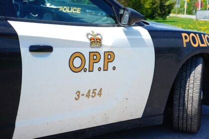 atv-driver-dies-of-injuries-after-crash