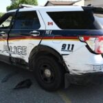 suspect-in-saskatoon-police-pursuit-taken-to-hospital-with-dog-bite-injuries,-police-say