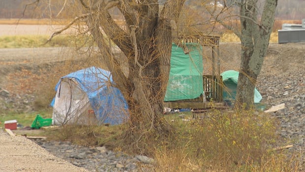 growing-rural-homeless-population-facing-unique-challenges,-researchers-say