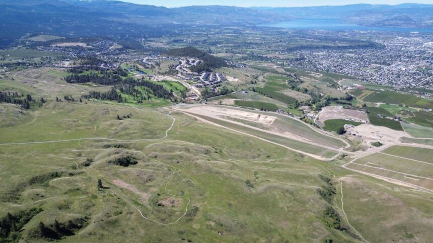 in-the-shadow-of-kelownas-housing-boom,-fragile-ecosystems-depend-on-those-fighting-to-save-them