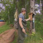 fly-brary-lets-anglers-take-or-leave-a-fishing-fly