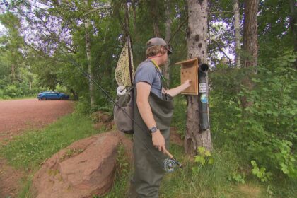 fly-brary-lets-anglers-take-or-leave-a-fishing-fly
