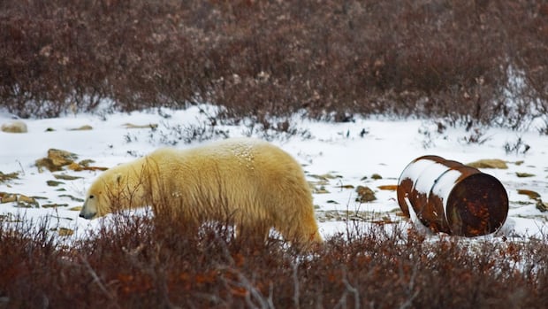 regulator-ok’s-liquefied-natural-gas-exports-through-hudson-bay,-pending-future-compliance