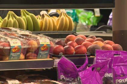 are-city-owned-grocery-stores-an-answer-to-sky-high-supermarket-prices?